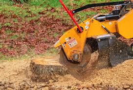 Reliable Marcellus, MI Tree Removal Services Solutions